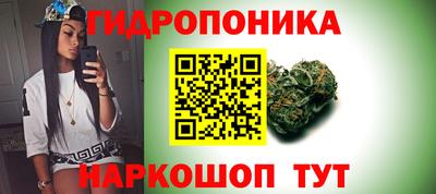 PSILOCYBIN Тверь