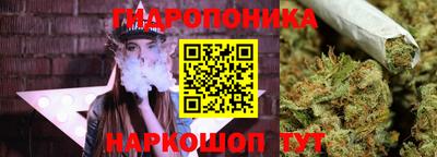 PSILOCYBIN Тверь