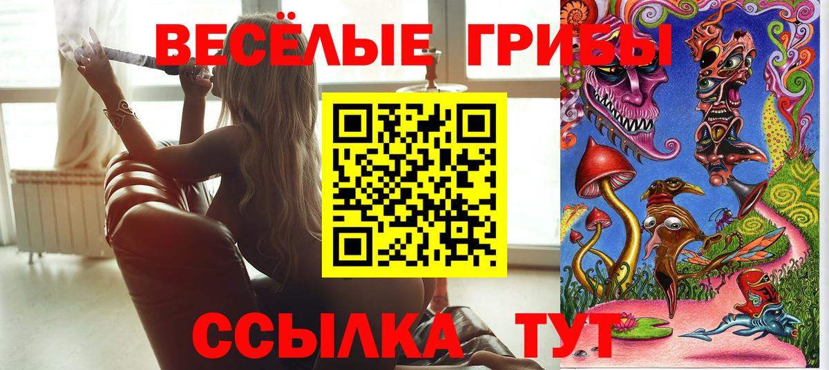 цена наркотик  Вход с VPN  Норильск  Галлюциногенные грибы Psilocybine cubensis 
