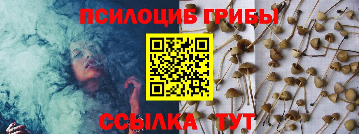 Галлюциногенные грибы MAGIC MUSHROOMS Норильск